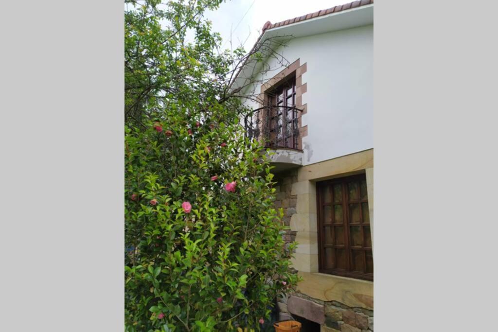 Casa Las Lindes Valle De Cabuerniga , Cantabria Exteriör bild